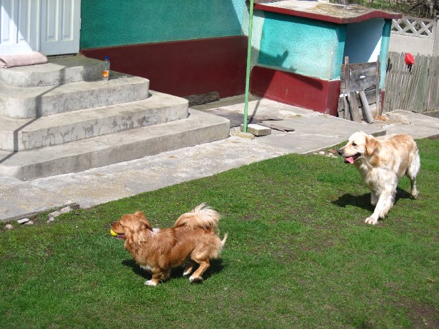 Original image